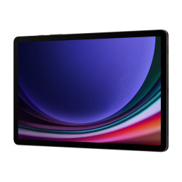 Tablette - Android 13 - 256 Go - 11" AMOLED (2560 x 1600) - Logement microSD - graphite (SM-X710NZAEEUB)_3