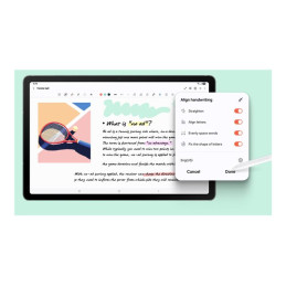 Tablette - Android - 256 Go - 10.9" TFT (2304 x 1440) - Logement microSD - gris (SM-X520NZAPEUB)_6