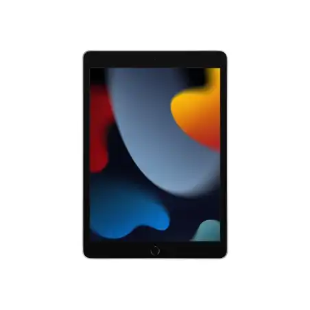 10.2-inch iPad Wi-Fi 64GB - Silver 9ème Gen (MK2L3NF/A)_1