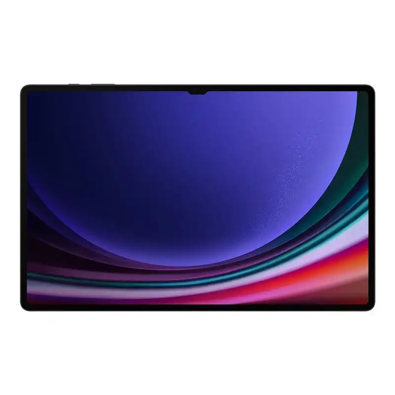 Samsung Galaxy Tab S9 Ultra - Tablette - Android - 256 Go - 14.6" AMOLED dynamique 2X (2960 x 1848) ... (SM-X910NZAAEUB)_1