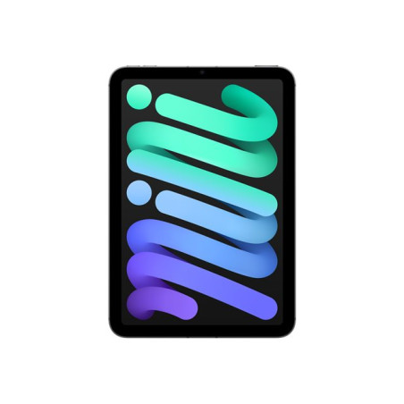 Tablette - 256 Go - 8.3" IPS (2266 x 1488) - 3G, 4G, 5G - gris sidéral (MXPT3NF/A)_1