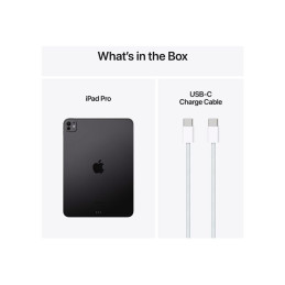 Tablette - 2 To - 11" Tandem OLED (2420 x 1668) - avec verre à nano-texture - 3G, 4G, 5G - noir spat... (MWRR3NF/A)_1