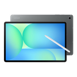 Tablette - Android - 128 Go - 13.1" TFT (2800 x 1800) - Logement microSD - gris (SM-X620NZAREUB)_1