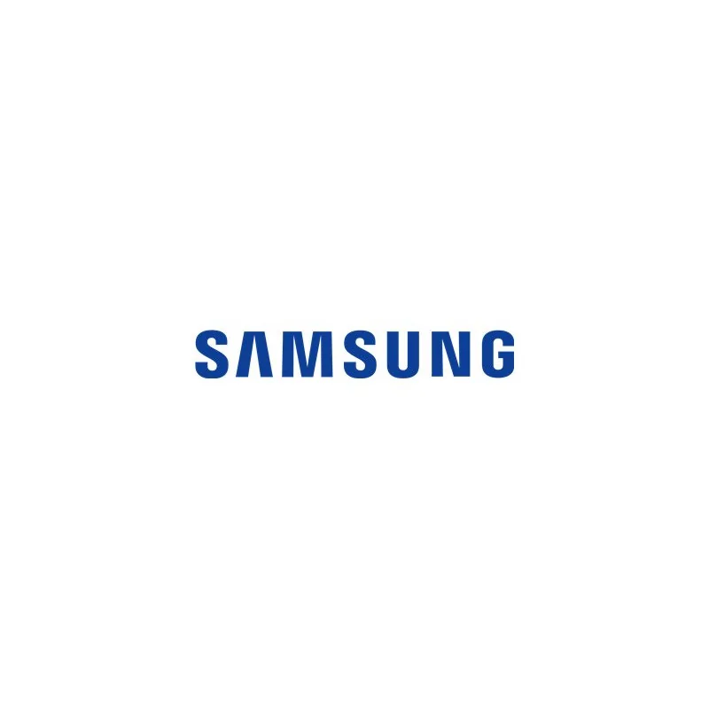 Samsung Galaxy Tab S10 Lite 6GB_128GB 5G GRAY EE (SM-X406BZAREEB)_1 Samsung Galaxy Tab S10 Lite 6GB_128GB 5G GRAY EE (SM-X406BZAREEB)_1